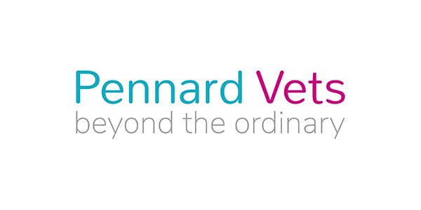 Maidstone Veterinary Nurse Pioneers Behavioural Clinic For Anxious Pets