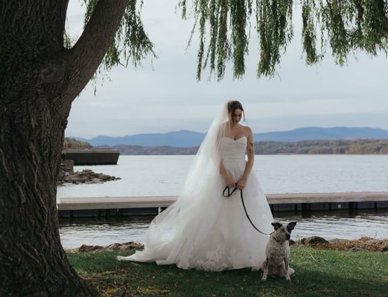 Here Comes The Bride (and Her Dog)