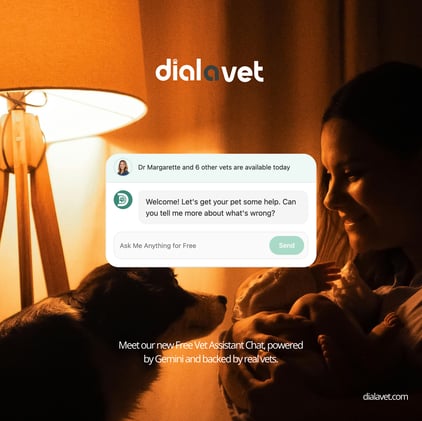 Dial A Vet 2025 Review: How Free AI Vet Chat, Real-World Data, and Organic Growth Are Reshaping Pet Care
