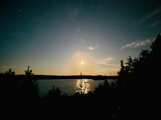 Dark Skies, Saffron Milk Caps, Ancient Cedar/Red Pines, Vaivén, and Some Fun