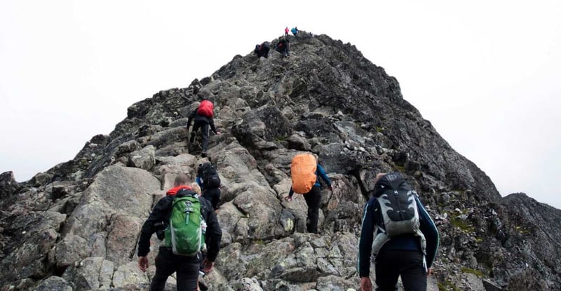 Ready the Climbing Gear: Design Leader as Change Agent