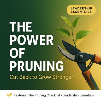 The Power of Pruning