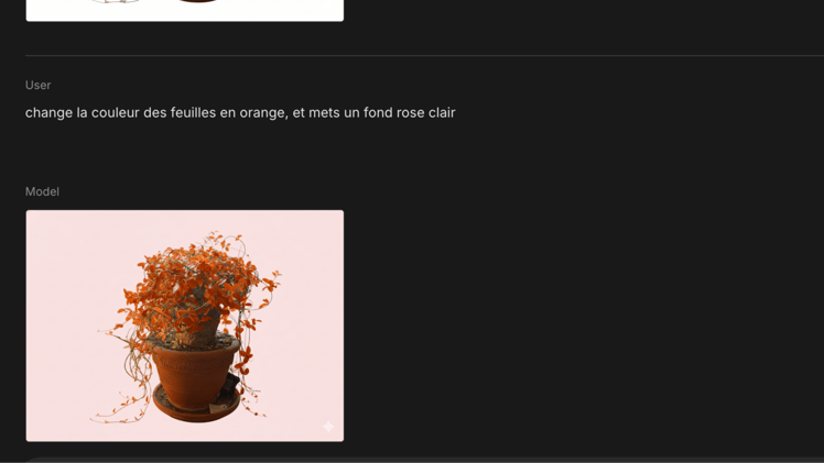 Édition spéciale Google Gemini Banana
