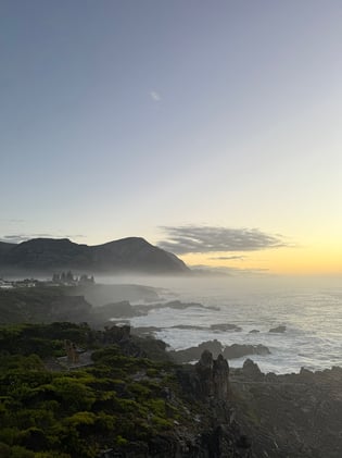 🎄 Welcome to the Hermanus Scoop’s Bumper Holiday Cheat Sheet