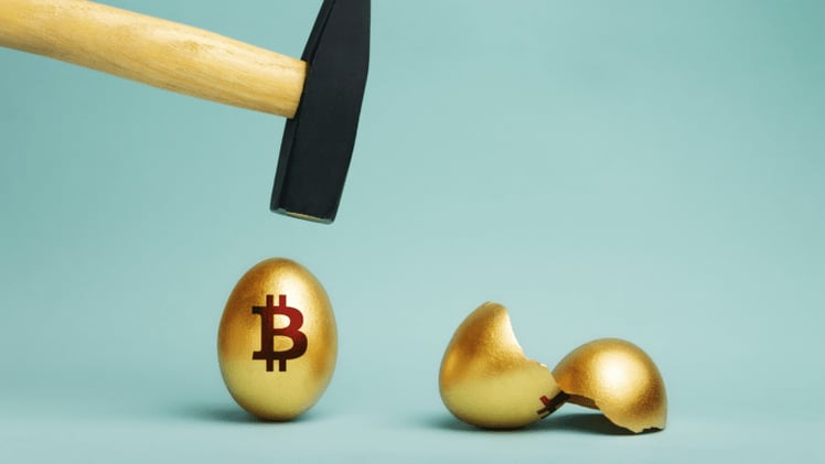 7 Basics of Cryptocurrency: A Beginner’s Guide to Investing