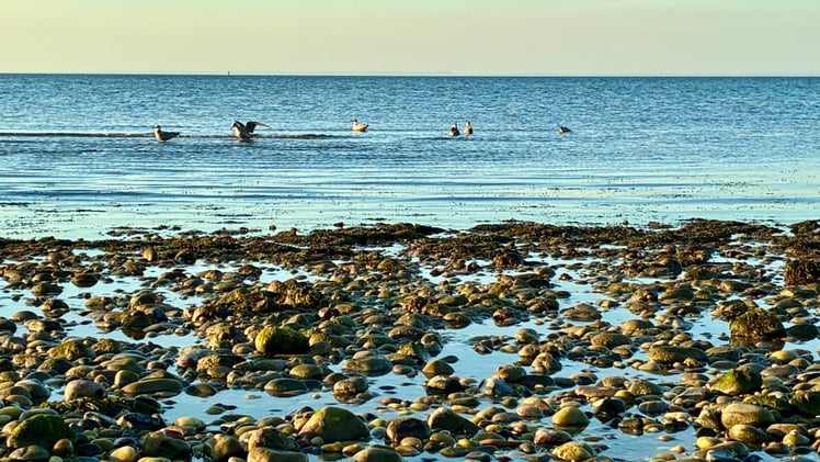 This Morning's Bulletin — 10.10.25