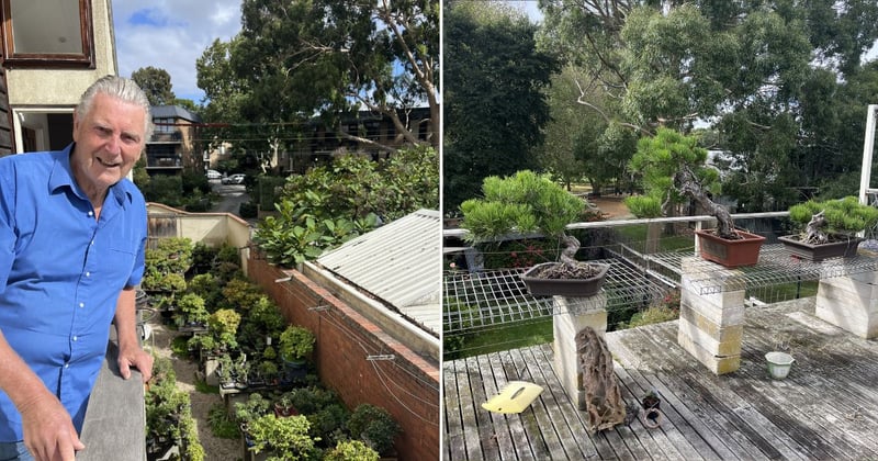 East Side Stories: How 15,000 trees turned into a life-long endeavour for Hawthorn’s bonsai master