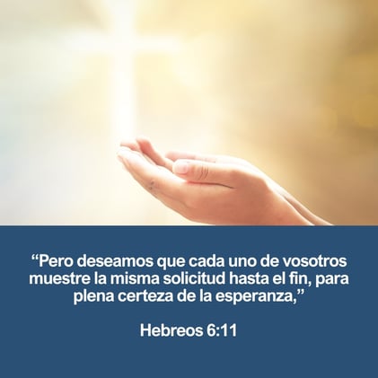 Metas y Propósitos, y no Perezosos