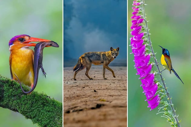 Transform Fleeting Moments Into Lasting Visual Stories