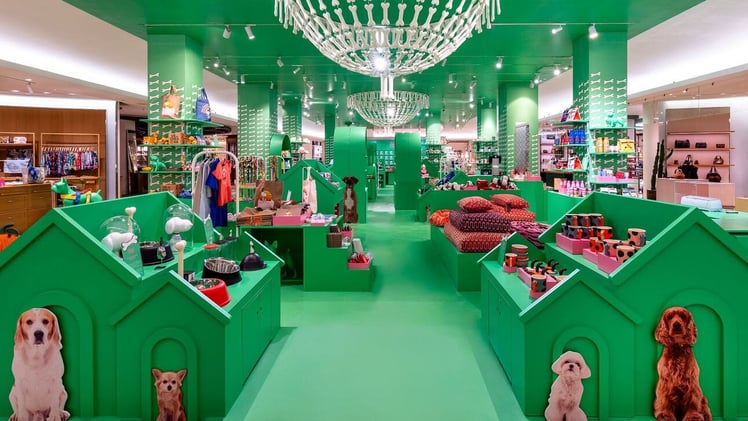 Can Pet Fashion Be More Than Novelty? 