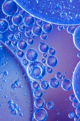 Metal-Biomolecule Network Nanoparticles Revolutionize Drug Delivery Systems