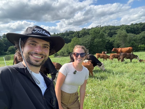 Cow Juice