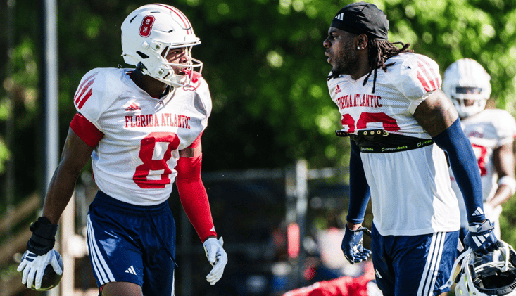 Paradise Brew 3/23: Weekend Work