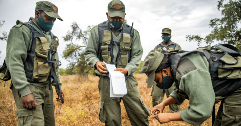 Green jobs in action