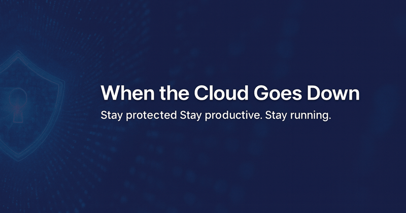 When the Cloud Goes Down