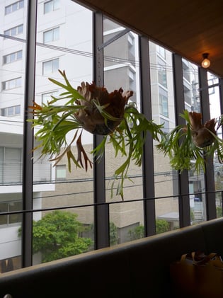Indoor vs. Outdoor Air – Which Is Worse for Your Health?