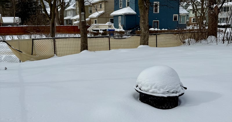 #118 What's New With BOIR This Week  