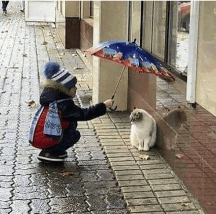 📖 what does it mean to be a good Person?