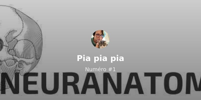 Toc toc : bonjour, les abonné-es par mail. 