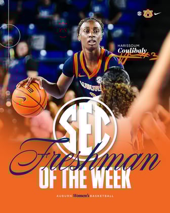 Bodda Getta Brew 12/24: Freshman Sensation