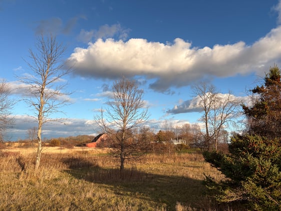 Picton Gazette Express: Vol. 2 No. 46