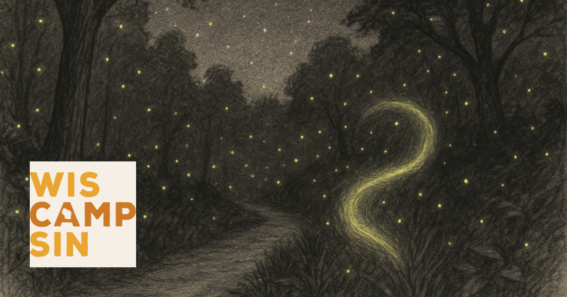 Why are there more fireflies this year?