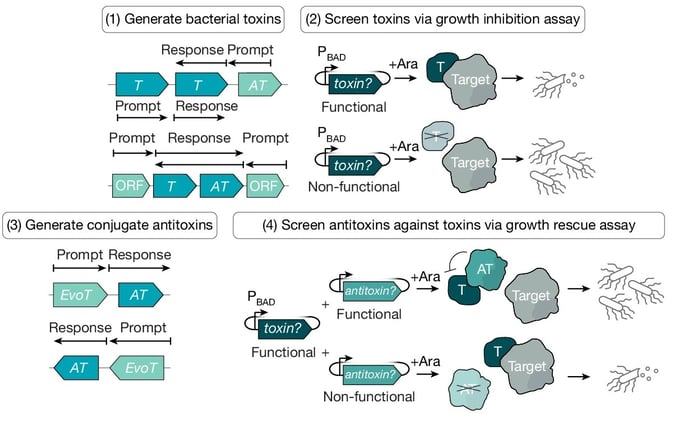 AI-Born Genes: Machine Learning Rewrites Genomics!