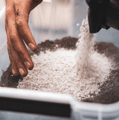 ¿Qué es la Perlita?