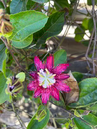 It was a visceral demand that I had to act on 💭