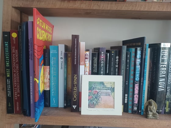 Shelfies #52: Lavie Tidhar