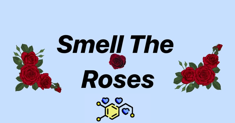 Smell the Roses: Ambition's Hidden Cost of Missing Life's Beauty