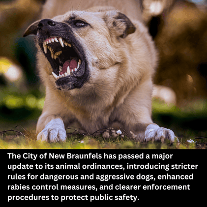 Saturday Bonus: City Planning, Fire Safety Wins & Gruene Market Fun