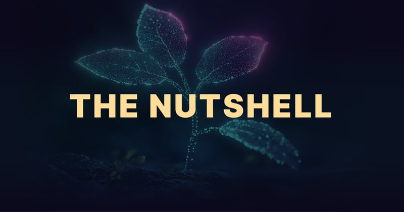 The 🌰 Nutshell: December 2025