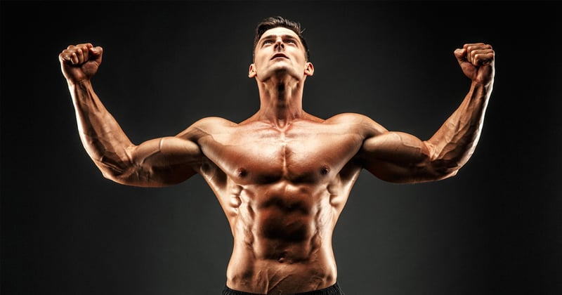 Stop Guessing Your Workouts With a 28-Day Beginner Gym Blueprint That Actually Works