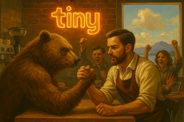 Rollups From Hell Vol.2 - Tiny Ltd: from Berkshire Hathaway dreams to a bombed-out internet HoldCo