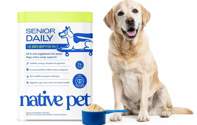 Native Pet’s Senior Daily Review: Targeted Daily Support for Aging Dogs