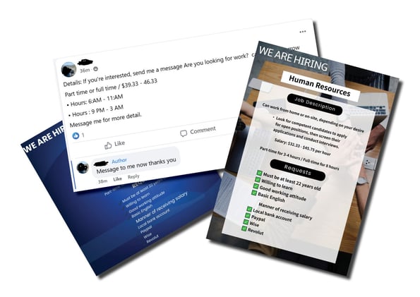 Newsport Alert Friday 30 May 2025