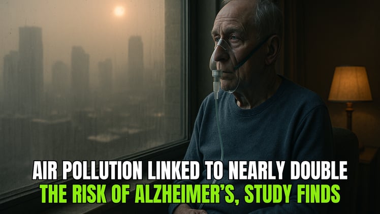 🌱 Air Pollution Linked to Nearly Double the Risk of Alzheimer’s, Study Finds 🧠⚠️