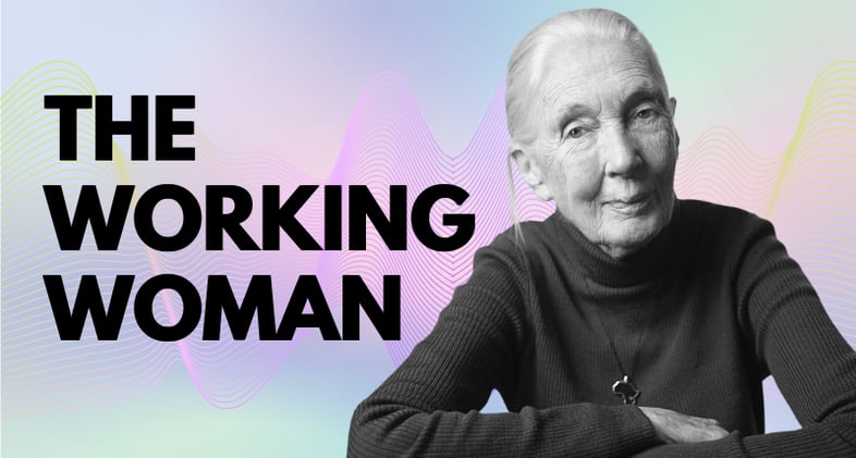 The Working Woman 13.10.2025