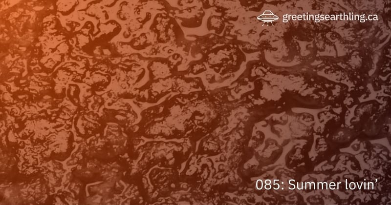 Transmission 085: Summer lovin'