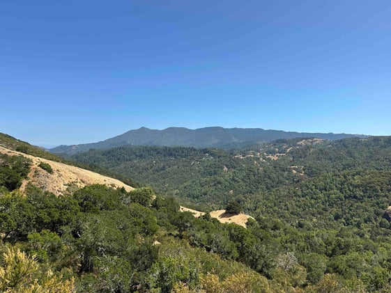 Tamarancho Double Dip