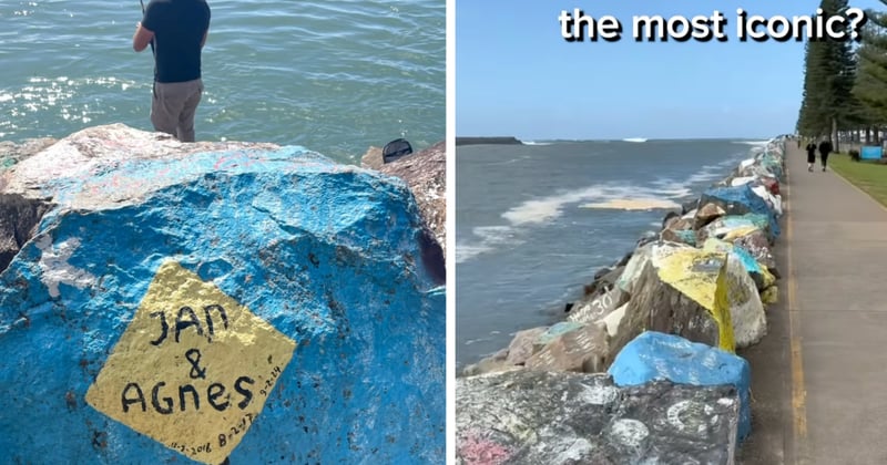 WATCH: Do you have a favourite painted rock in Port Macquarie?