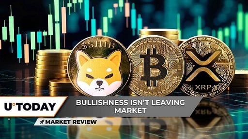 Doge leads the charge