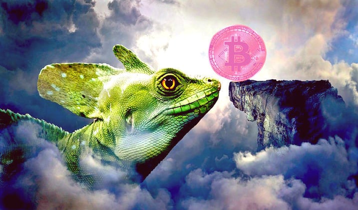 Crypto Analyst Calls Bitcoin Bull Run From $102,000 to $336,000: Bitcoin, Ethereum, XRP Price Analysis