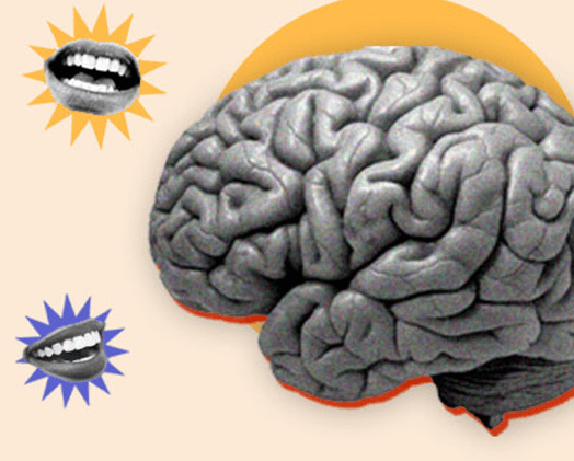 Mastering Logical Fallacies