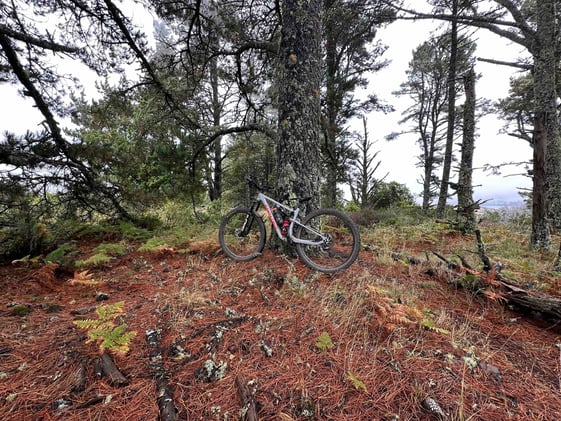 Secret Sky Island Cloud Forest