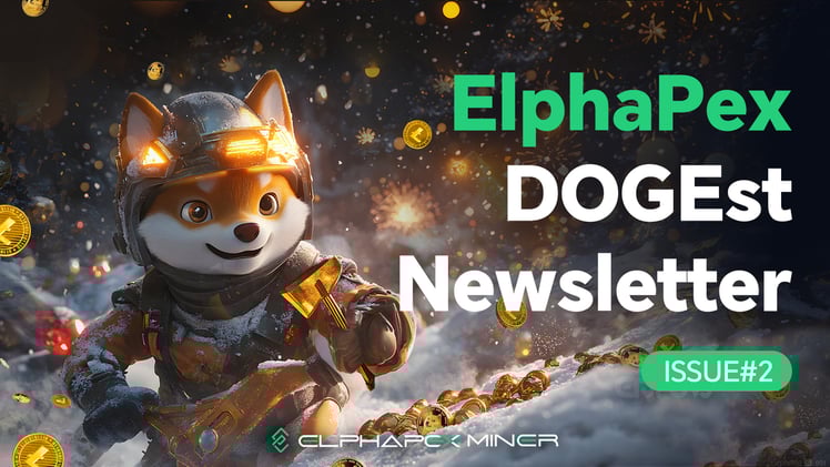 DOGEst Newsletter - Issue #2