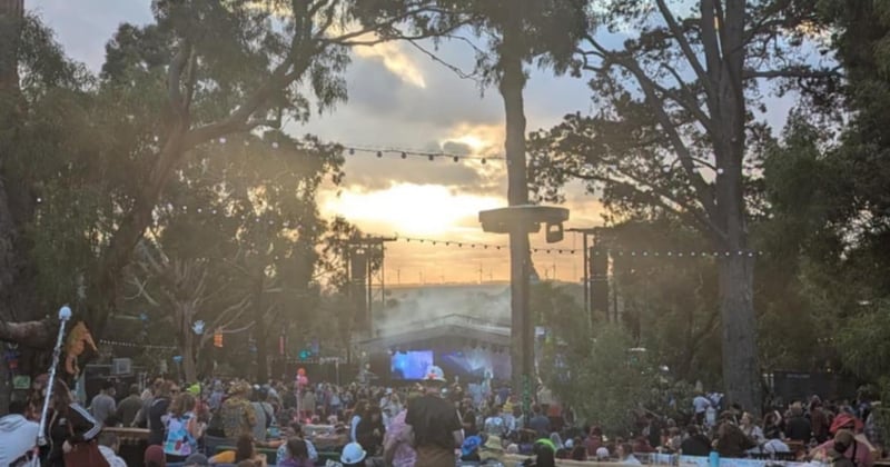 Newsletter: Pies, bees and milk factories