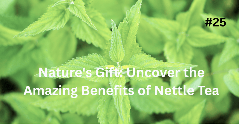 Nature's Gift: Uncover the Amazing Benefits of Nettle Tea