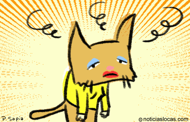 Afirma que es un gato atrapado en un cuerpo humano
